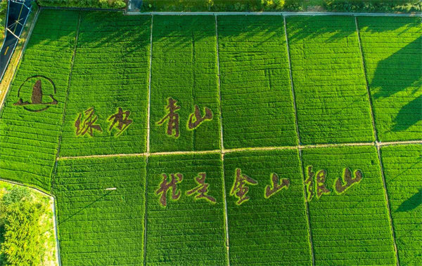 67381����-��Ϸ�ٷ���վ