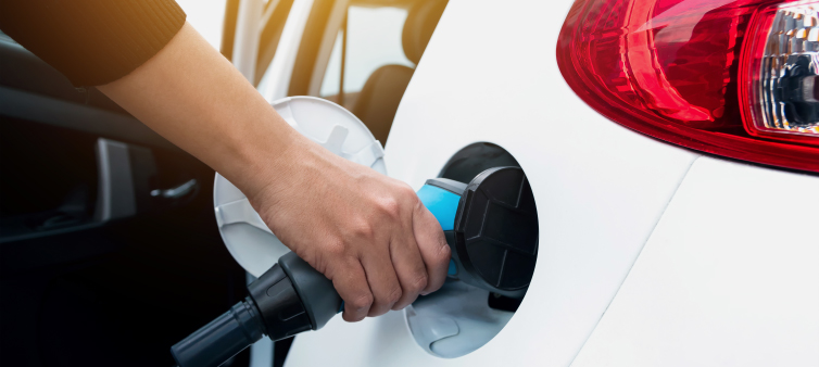 �綯�������